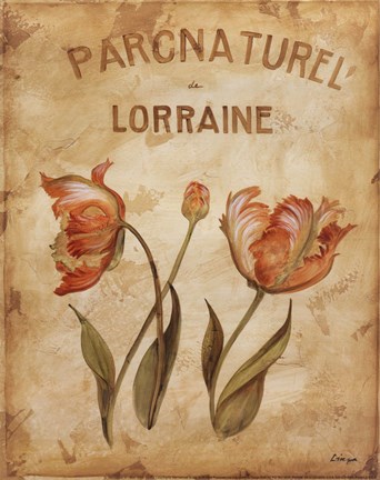 Framed Parcnaturel III - Mini Print