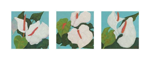 Framed Anthurium Triptych Print