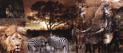 Framed Africa Print