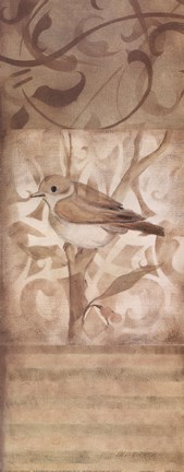 Framed Song Bird II Print