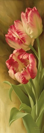 Framed Spring&#39;s Parrot Tulip II Print