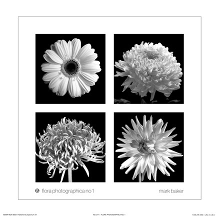 Framed Flora Photographica No. 1 Print