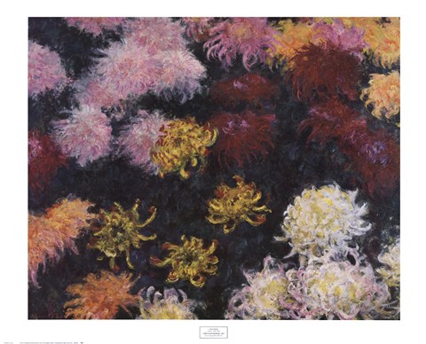 Framed Chrysanthemum, 1897 Print