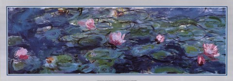 Framed Water Lilies (Detail horizontal) Print