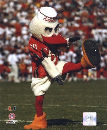 Framed Sebastian -The Mascot of  University of Miami Hurricanes, 2003 Print