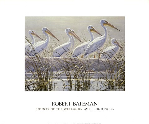 Framed Bounty of the Wetlands (detail) Print
