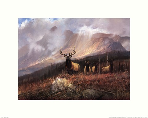 Framed Bookcliffs Elk I I Print