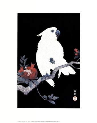 Framed Ukiyo-E Parrot Print