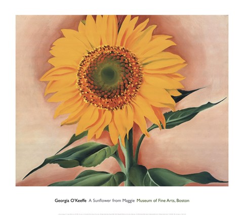 Framed Sunflower from Maggie, 1937 Print