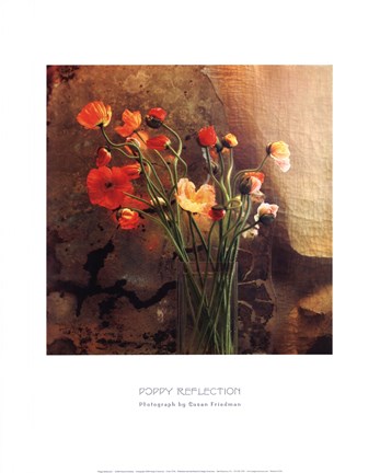 Framed Poppy Reflection Print