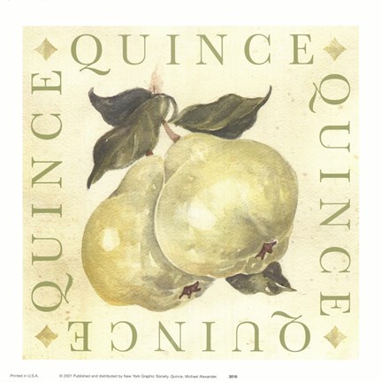 Framed Quince Print