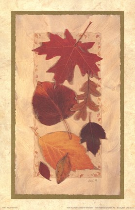 Framed Autumn Harvest II Print