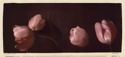 Framed Illuminating Tulips II Print