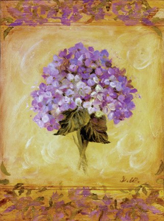 Framed Hydrangea Violeta Print