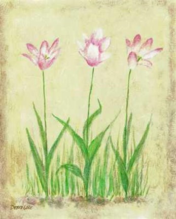 Framed Rosy Tulips 2 Print