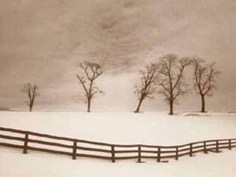 Framed Snowscape with Fence Print