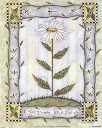Framed Chrysanthemum Leucanthemum Print