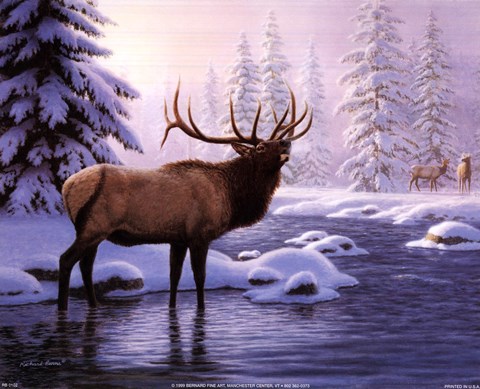 Framed Elk Winter Print