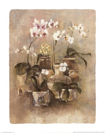 Framed Arrangement of Orchids II-11x14 Print