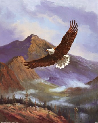 Framed Eagle Gliding Print