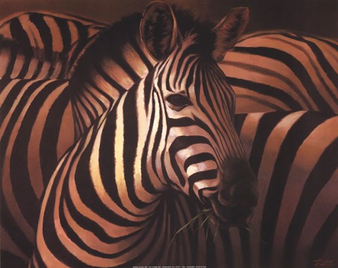 Framed Zebra Grande Print