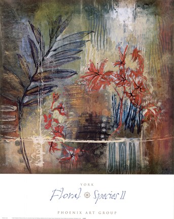 Framed Floral Species II Print