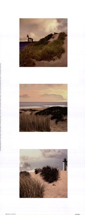 Framed Beach Trio I Print
