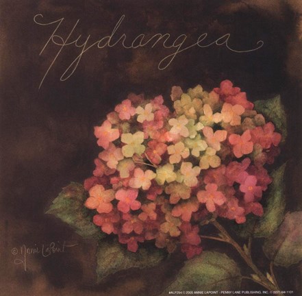 Framed Midnight Hydrangea Print