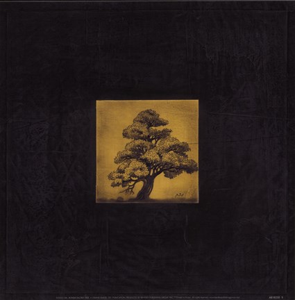 Framed Bonsai Sacred Tree Print