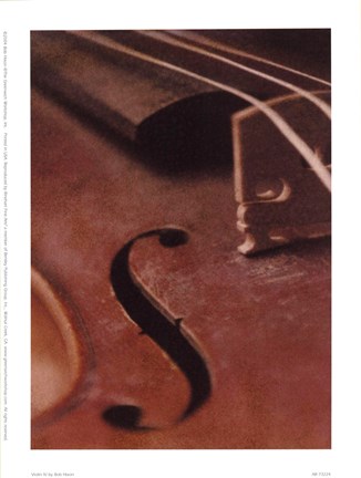 Framed Violin IV Print