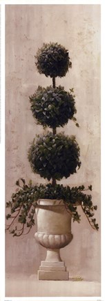Framed Roman Topiary ll Print