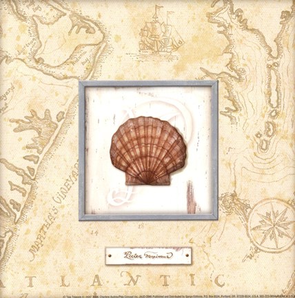 Framed Sea Treasure II - Mini Print