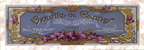 Framed Violette De Cannes Print