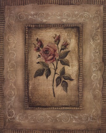 Framed Grand Savin Rose Print