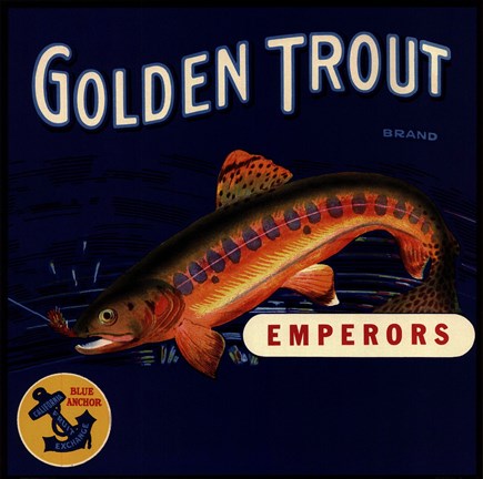 Framed Golden Trout Print