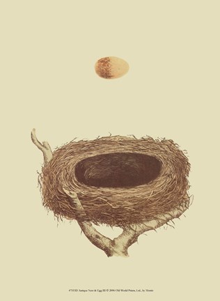 Framed Antique Nest Egg III Print