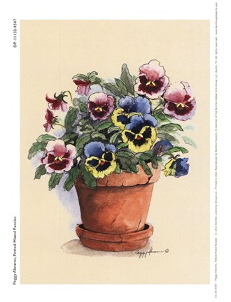 Framed Potted Mixed Pansies Print