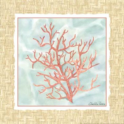 Framed Ocean Coral Print