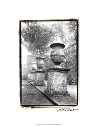 Framed Italian Garden II Print