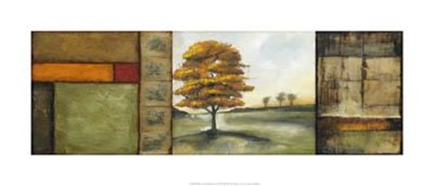 Framed Medium Autumnal Impressions II Print
