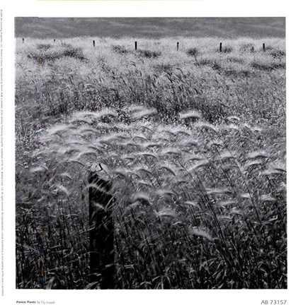 Framed Fence Posts Print