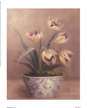 Framed Olivia&#39;s Flowers III Print