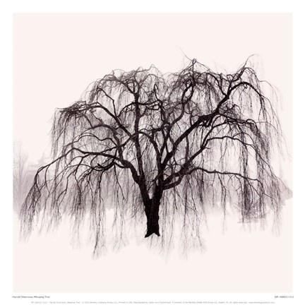 Framed Weeping Tree Print