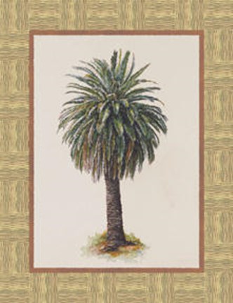 Framed Global Palm Print