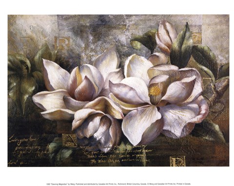 Framed Dawning Magnolias Print