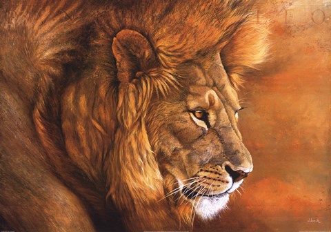 Framed Lion Du Serengeti Print