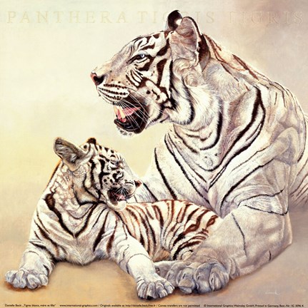 Framed Tigres Blancs, Mere Et Fille Print