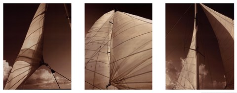 Framed Windward Sails Triptych Print