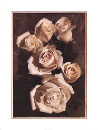 Framed Gathering Roses Print