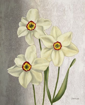 Framed Spring Narcissus Print